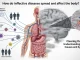 Clearing the Haze: Understanding Brain Fog Causes and Symptoms Brain Fog Causes and Symptoms