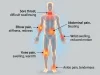 Inflammation Symptoms in Body: Signs You Shouldn’t Ignore Inflammation Symptoms in Body