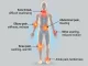 Inflammation Symptoms in Body: Signs You Shouldn’t Ignore Inflammation Symptoms in Body